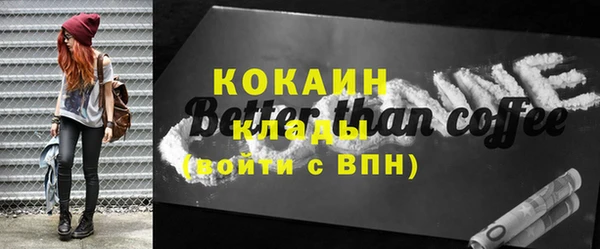 шишки Тында