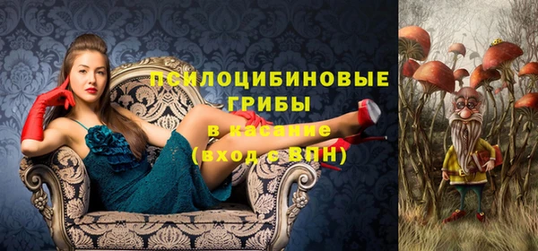 ГАЛЛЮЦИНОГЕННЫЕ ГРИБЫ Инта