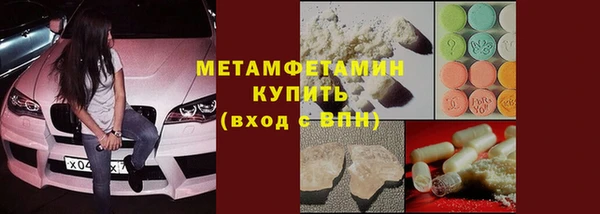 шишки Тында