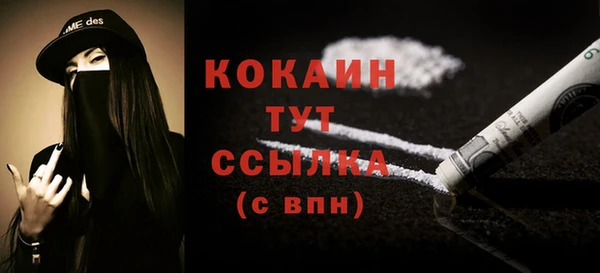спиды Каменногорск