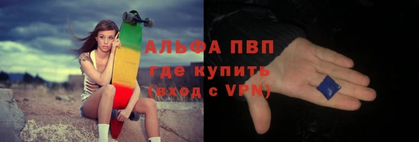 ГАЛЛЮЦИНОГЕННЫЕ ГРИБЫ Инта