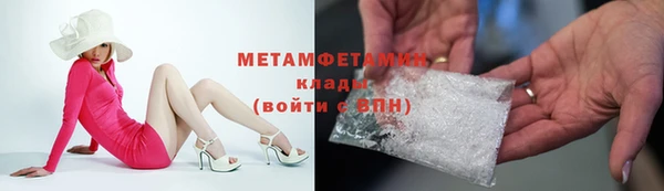 ГАЛЛЮЦИНОГЕННЫЕ ГРИБЫ Инта