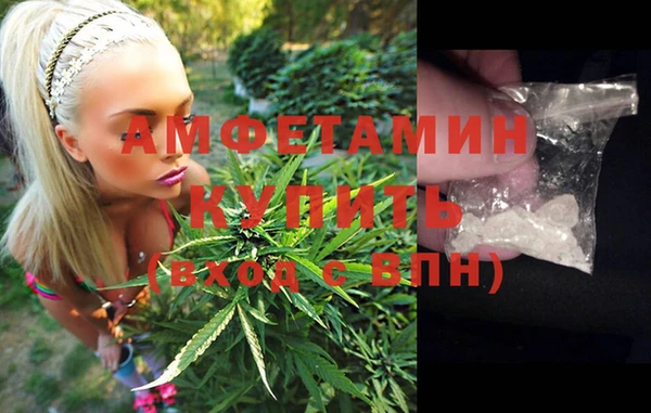 спиды Каменногорск