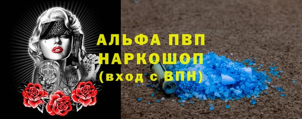 ГАЛЛЮЦИНОГЕННЫЕ ГРИБЫ Инта