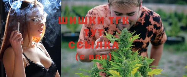 круглые Туринск