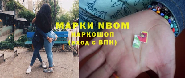 шишки Тында