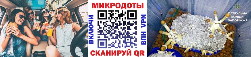 Купить закладки  Нижний Ломов  Галлюциногенные грибы мухоморы 